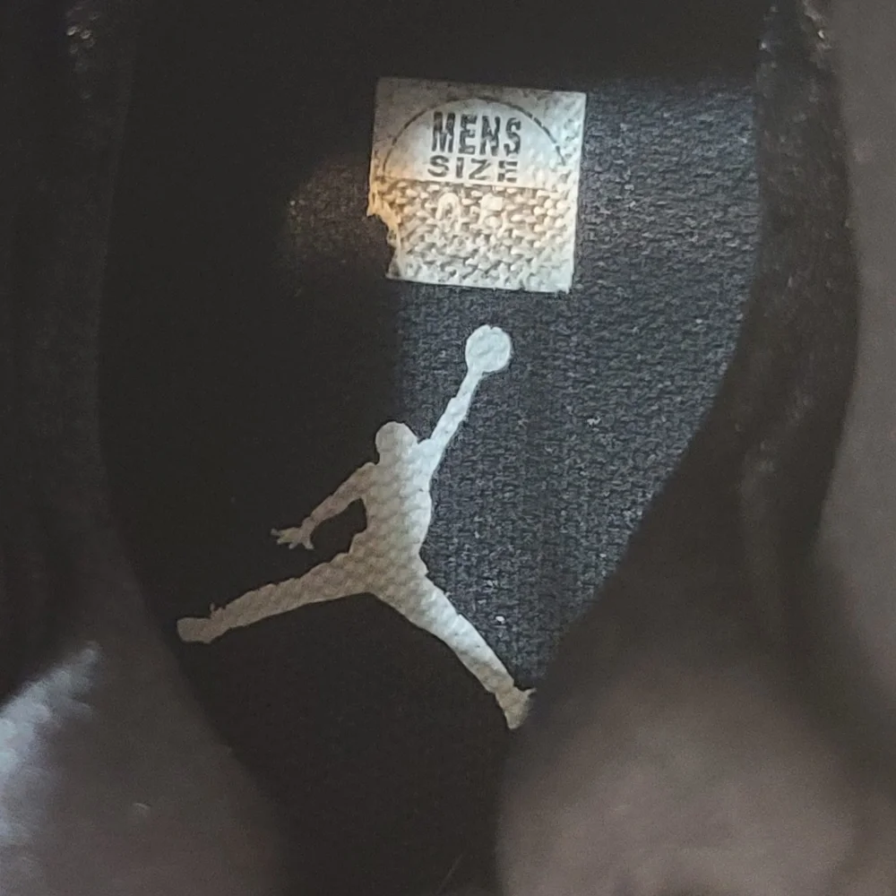 Air Jordan Retro 8 SE